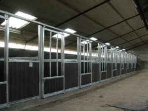 stallen wetland horses stolwijk 008 e1358167940670